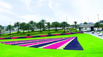 مساحات خضراء شاسعة.. دبي تسجل 55 مليون متر مربع من المسطحات النباتية المتطورة